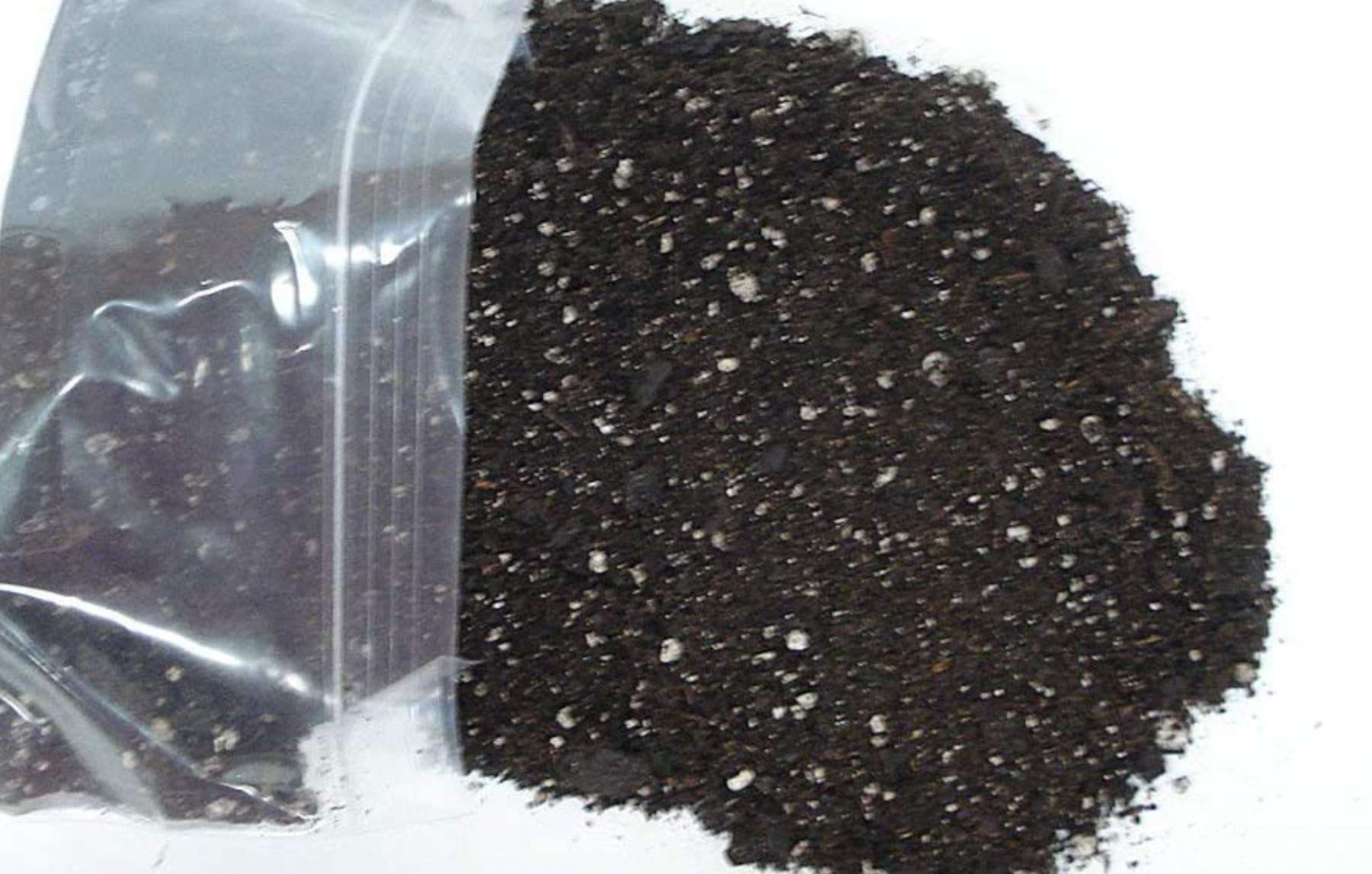 Best Soil For Succulents