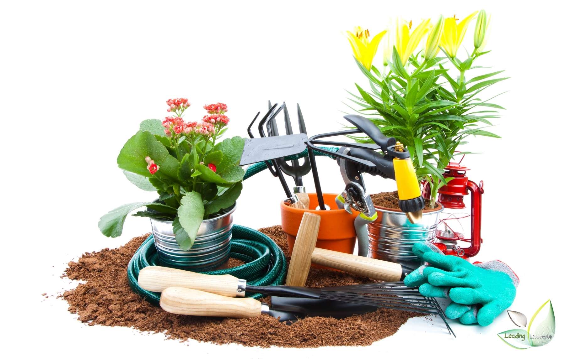 Best Gardening Tools