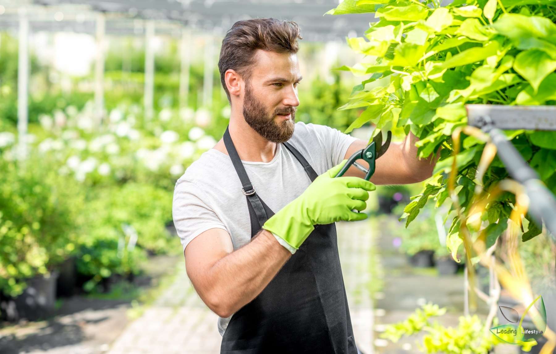 Best Gardening Aprons For Man & Women | Review & Buying Guide | Leading ...