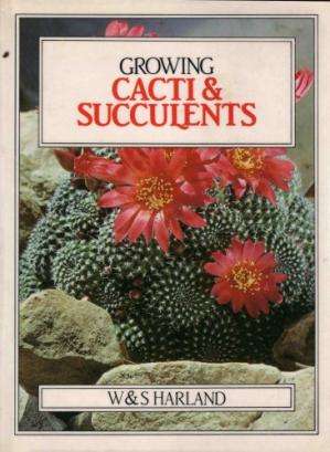 Growing-Cacti-Succulents.jpeg