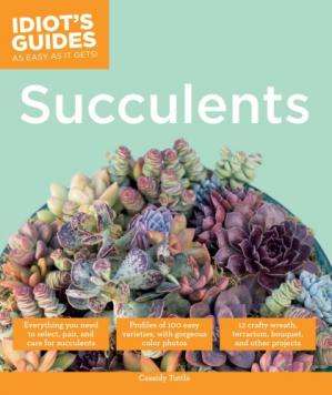 Idiot's Guide: Succulents care guide E-Book