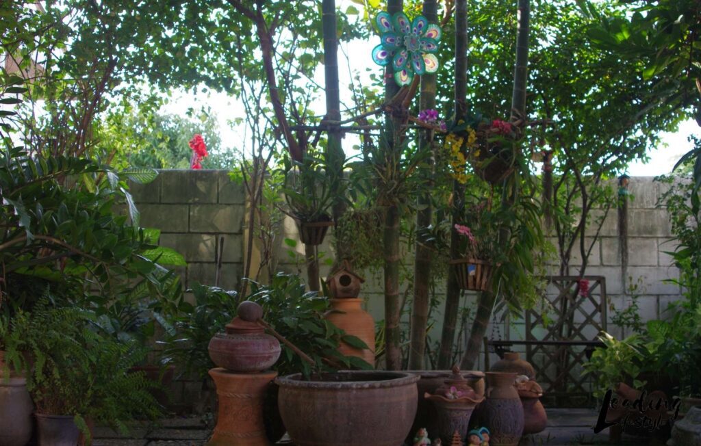 In-house-garden-Leading-Lifestyle-_-PathosBay.jpg