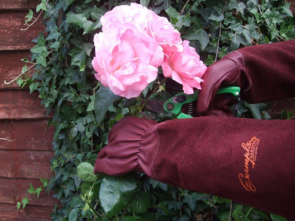 Rose-Pruning-Gloves.jpg
