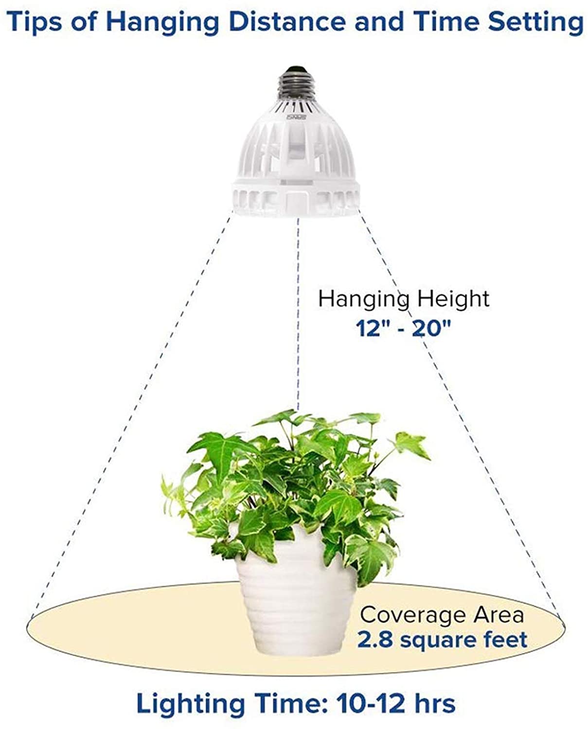 Sansi full spectrum white LED grow light giving natural balanced light for indoor succulents
