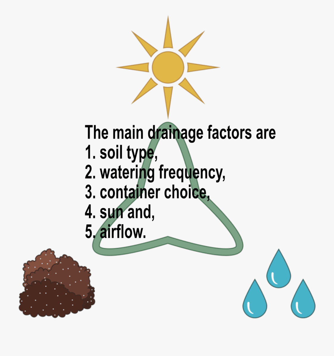 Best Soil For Succulents