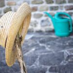 Best gardening hats