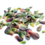 Succulent Leaves Falling Off