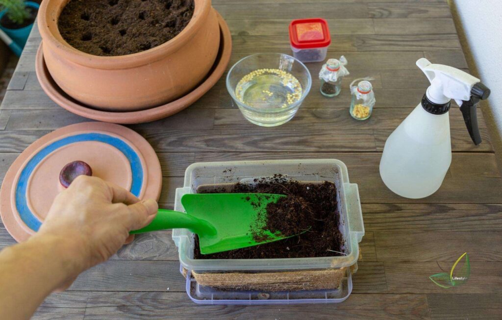 Potting Soil For Succulents
