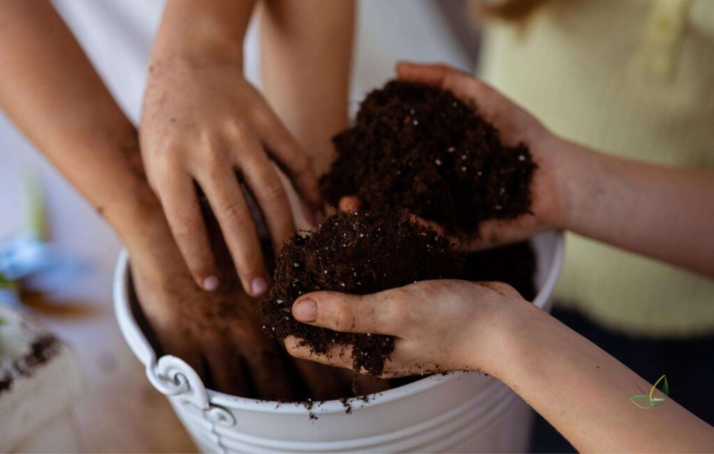 Regular potting soil