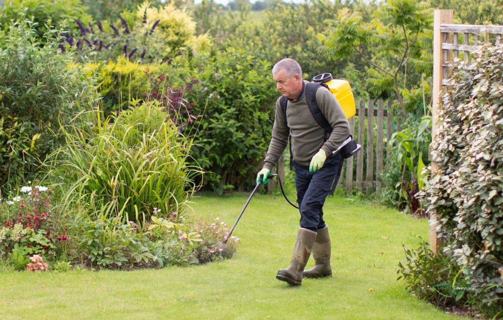 Top weed killer for lawns