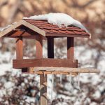 Winter gardening