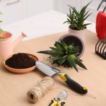 The Ultimate Guide to Succulent Tool Kits: Essential Gardening Tools for Thriving Succulents