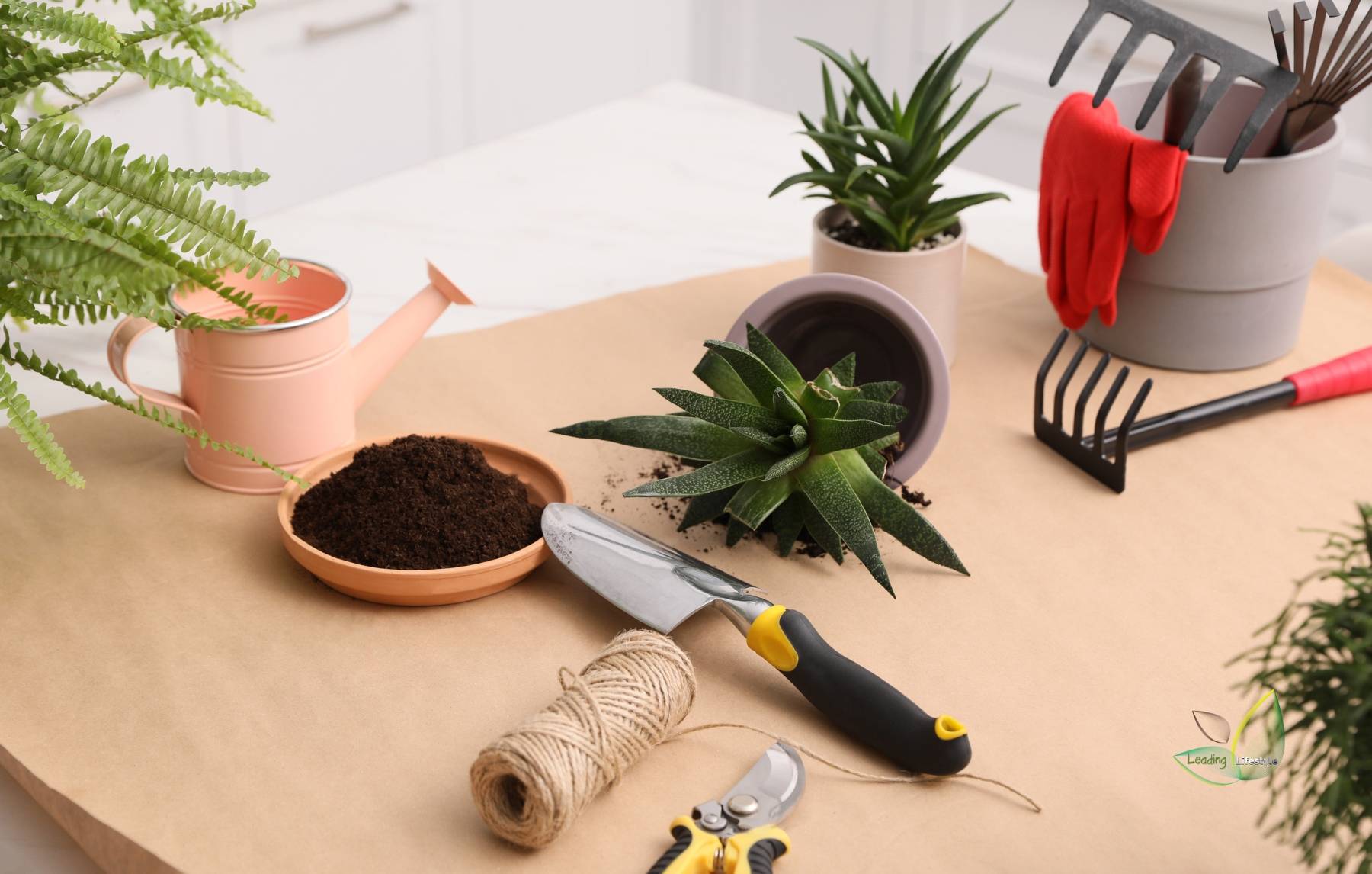 The Ultimate Guide to Succulent Tool Kits- Essential Gardening Tools for Thriving Succulents