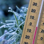 How Cold Is Too Cold for Succulents? Genus Thresholds, Frost Damage, and Tonight's Action