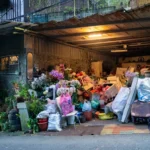 Overwintering Succulents in an Unheated Garage