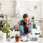 Repotting Succulents Indoors: Timing, Light, and Temperature After the Move