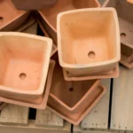 Succulent Pots With Drainage Holes: Why They Matter and How to Choose