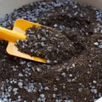 ucculent Soil Mix for Jade Plant: The Right Blend and How to Make It