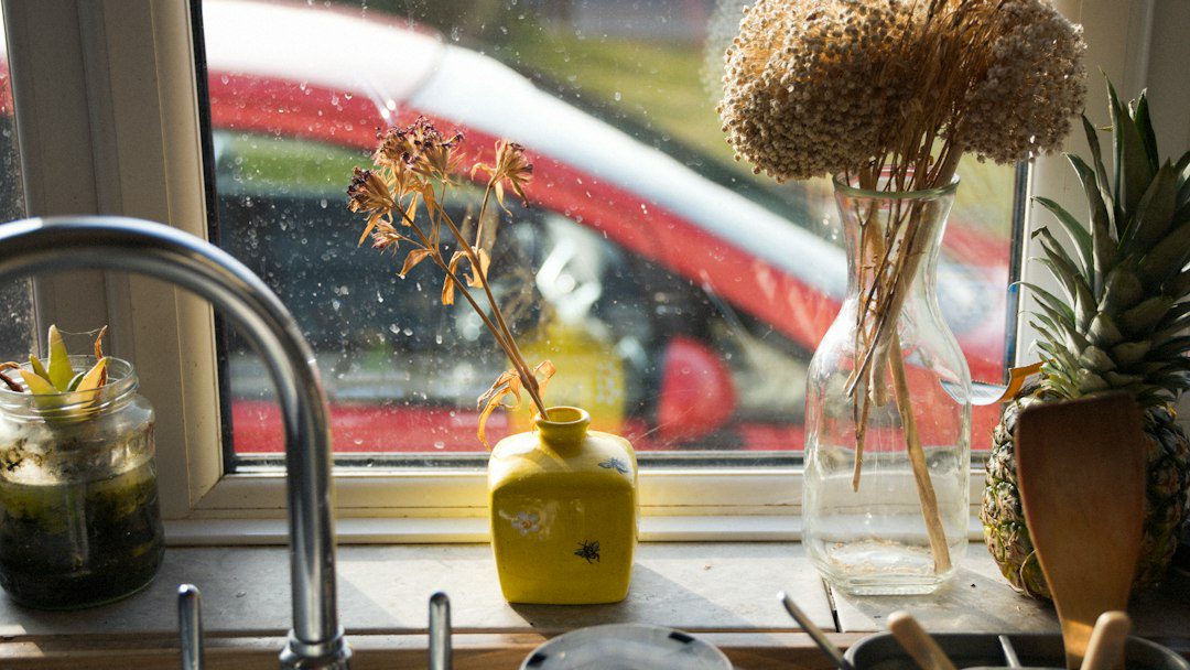 A kitchen counter showing culinary herbs in pots on one side and ornamental houseplants on a separate shelf away from food prep areas