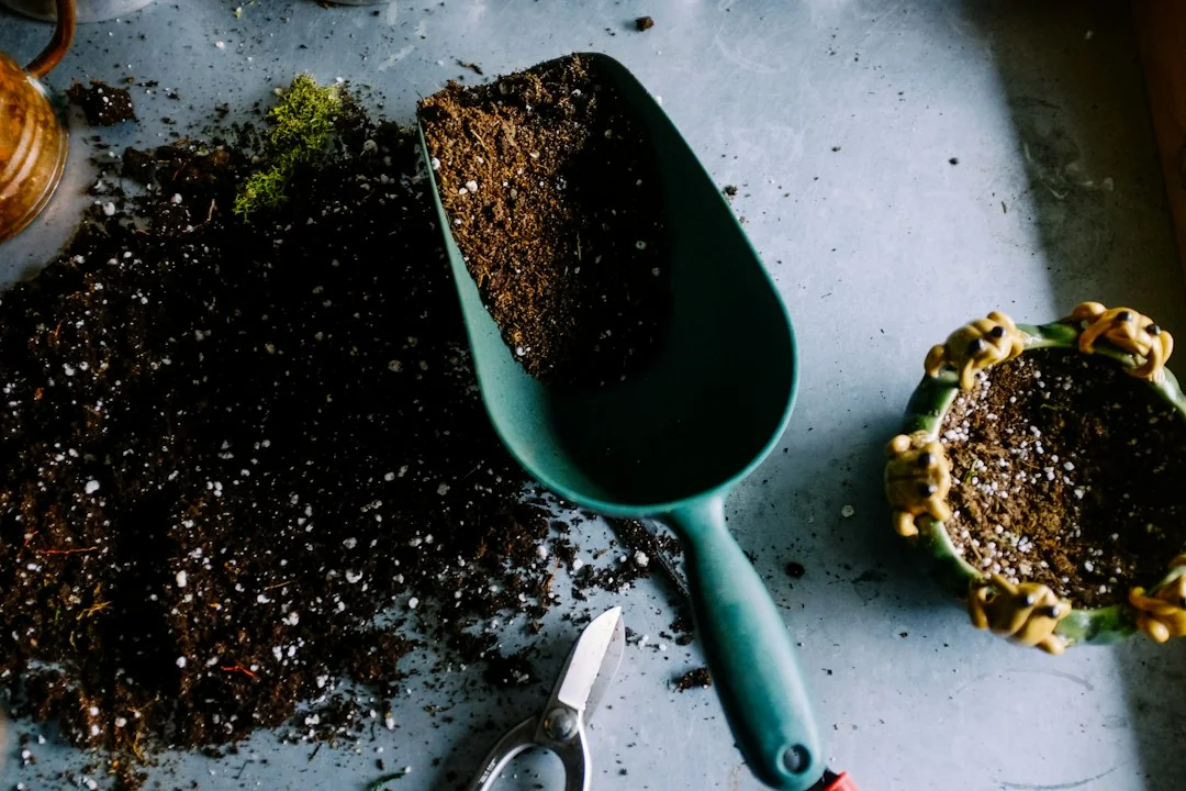 Green scoop of organic potting soil blended with visible white perlite, beside a trowel and a small cactus bowl
