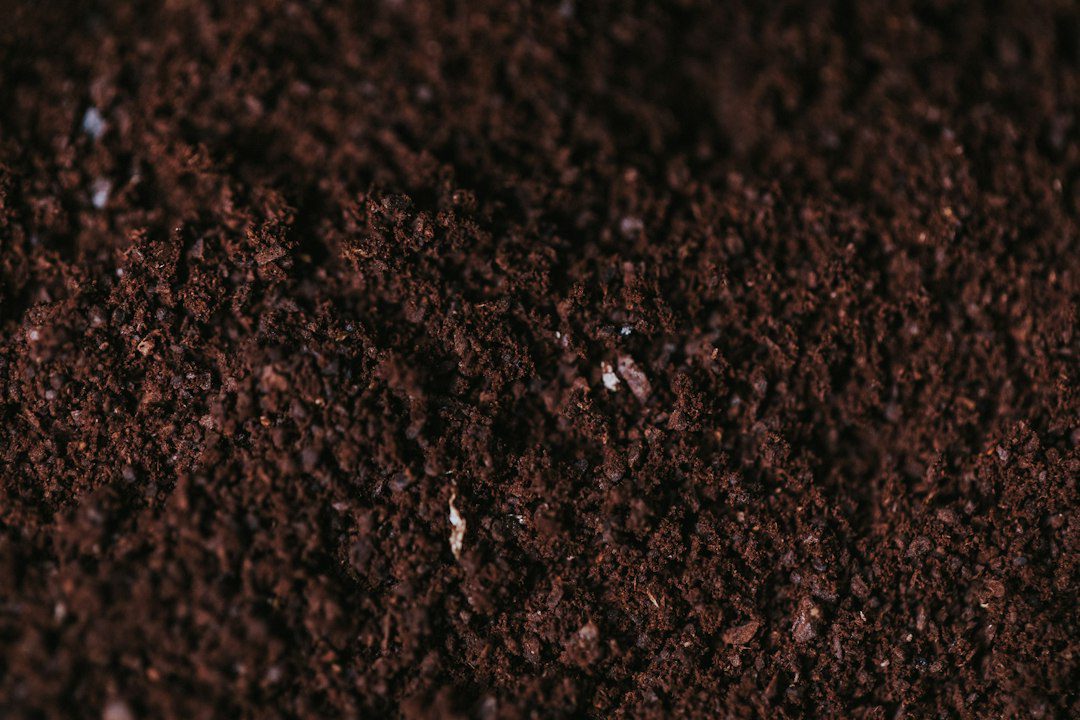 bowls of perlite, sand, and potting soil for mixing