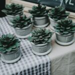 green succulent plant in vase on table