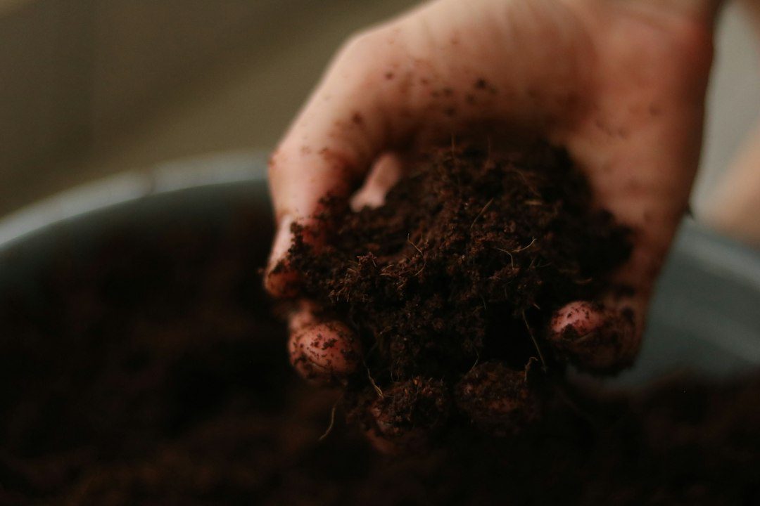 hands mixing soil ingredients in large container